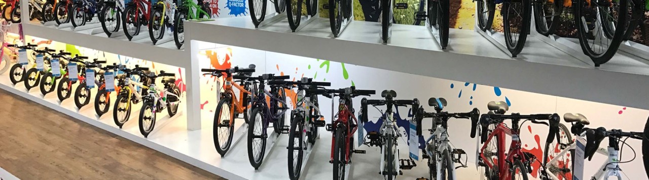 frog cycle shop near me