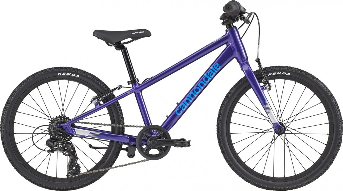 cannondale 20 mountain bike