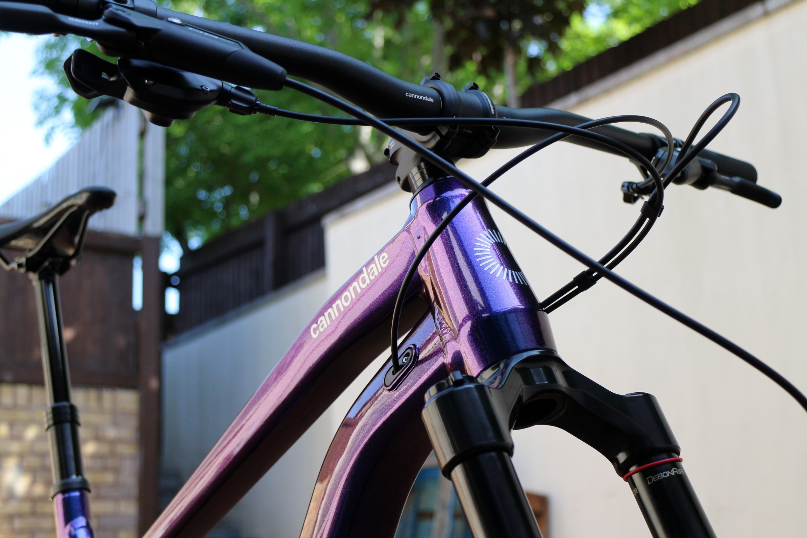 Cannondale habit hot sale purple