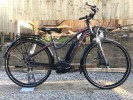 Gepida Alboin 1000 Alfine 8 Womans 2018 Electric Bike Damian